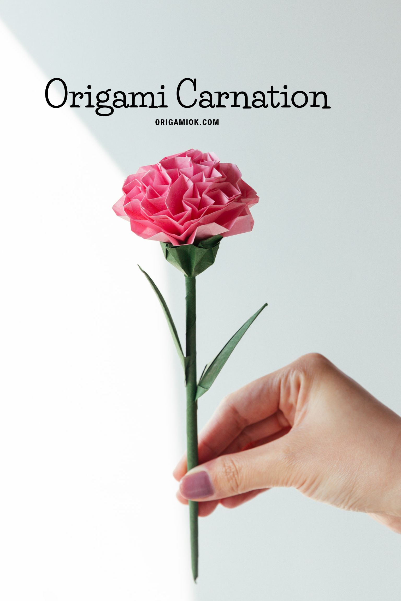 origami carnation | origamiok