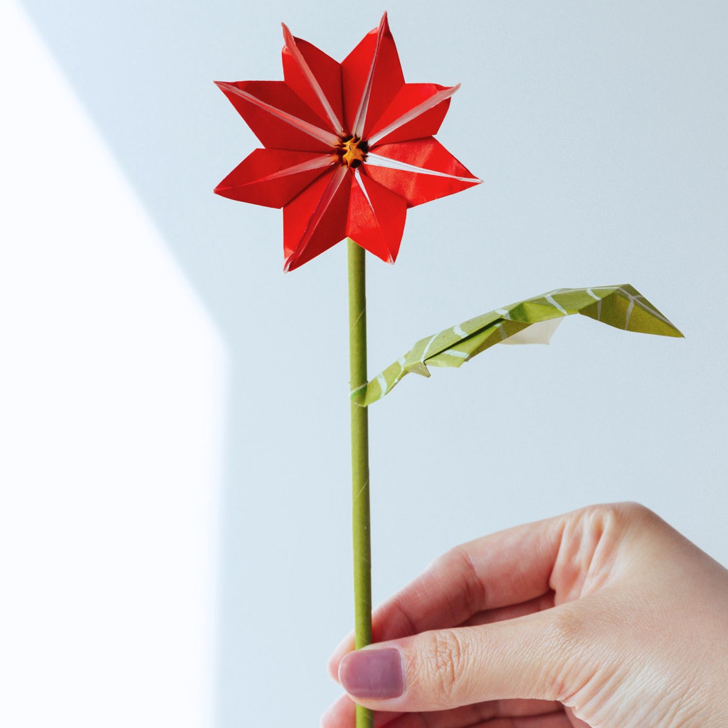 origami poinsettia | origamiok