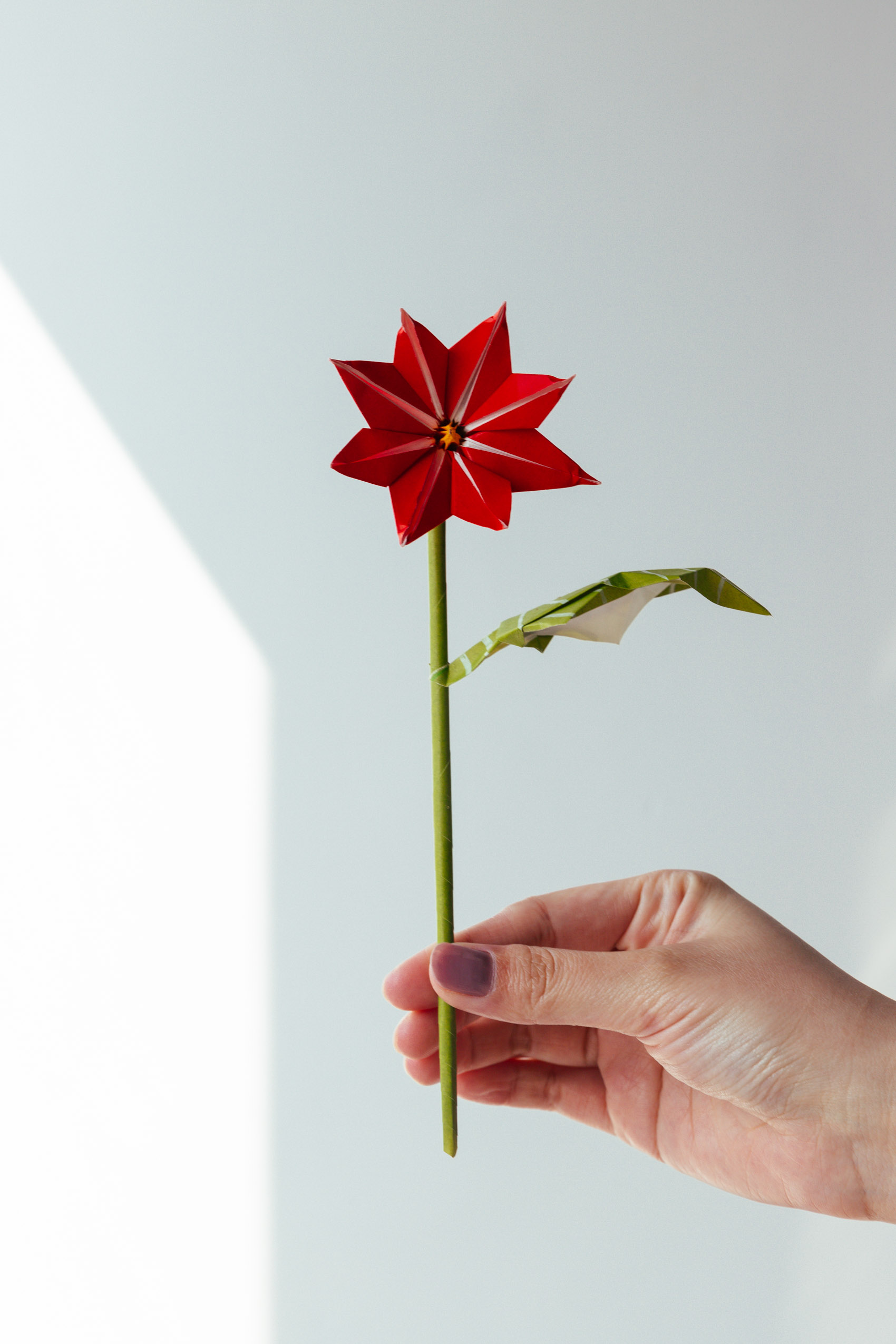 origami poinsettia | origamiok