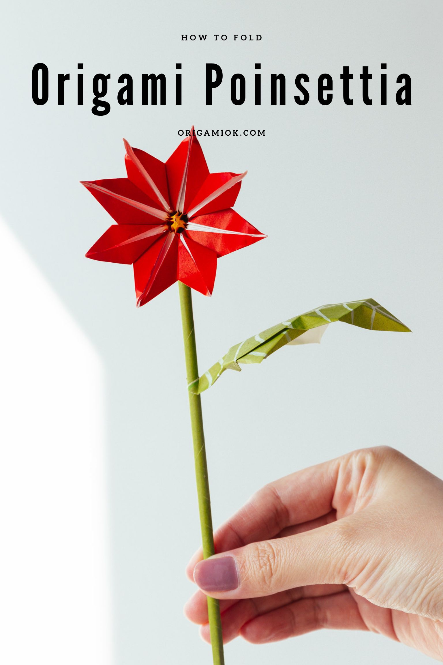origami poinsettia | origamiok