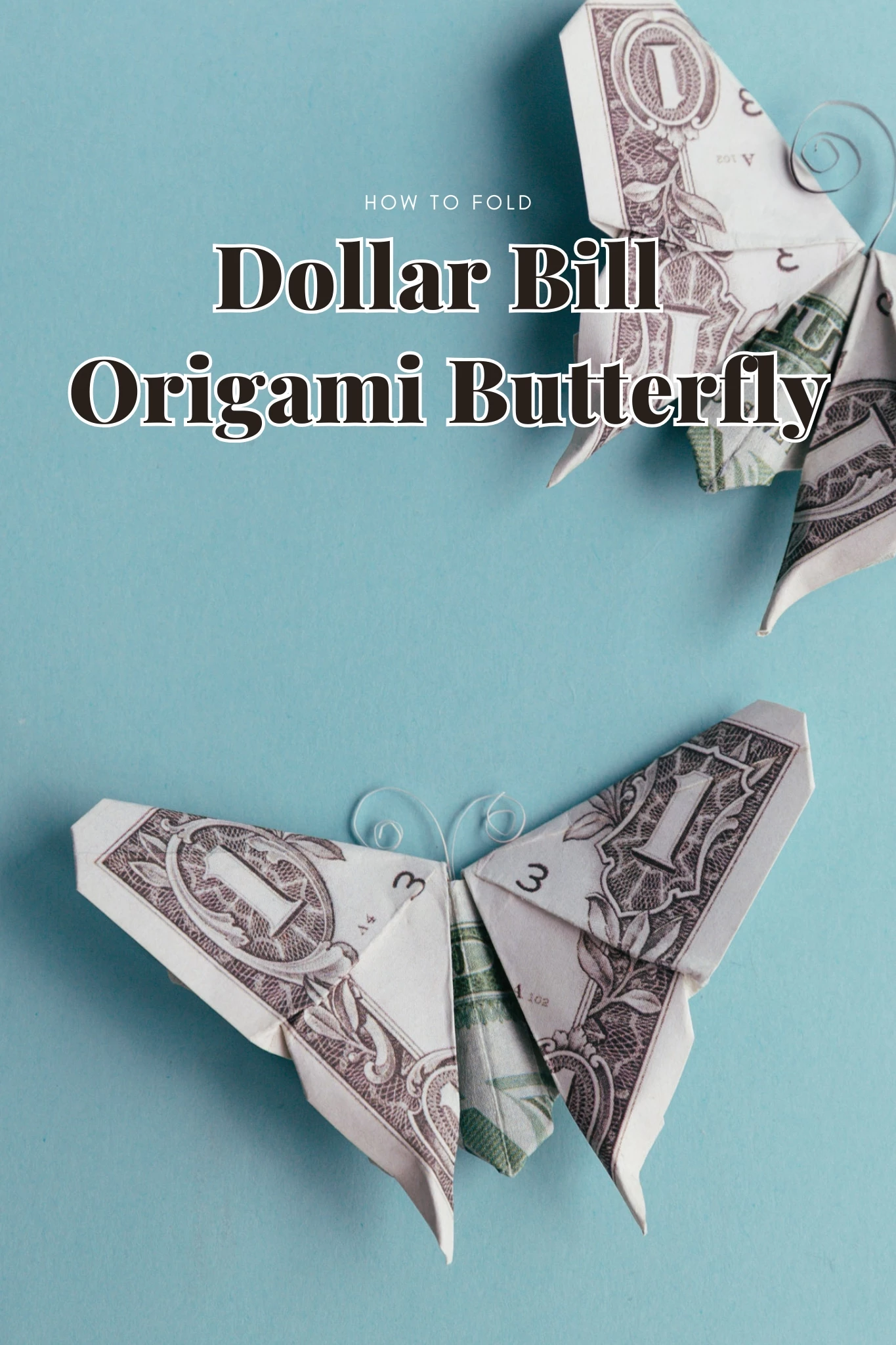 Dollar Bill Origami Butterfly
