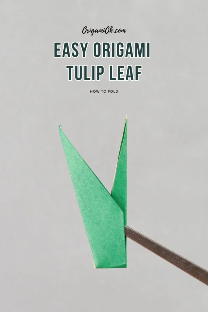 Easy-tulip-flower-leaf