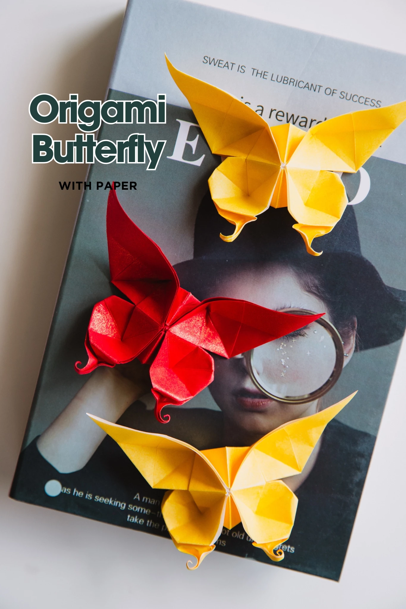 Origami Butterfly