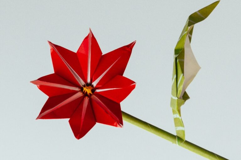 How to Make an Origami Poinsettia