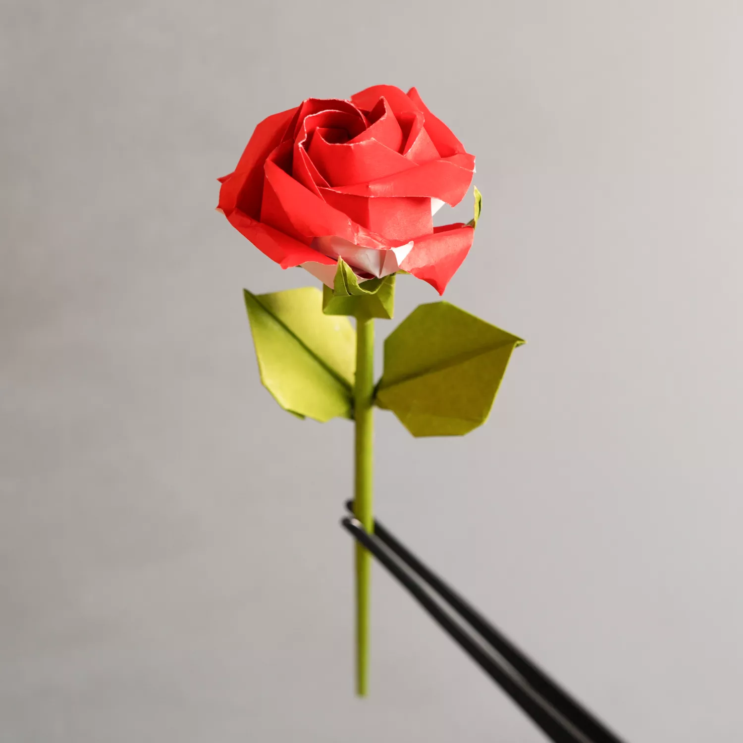 Origami Rose (Phu Tran Variation)-2
