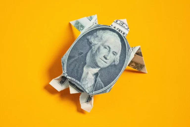 Easy Dollar Bill Origami Turtle Instruction