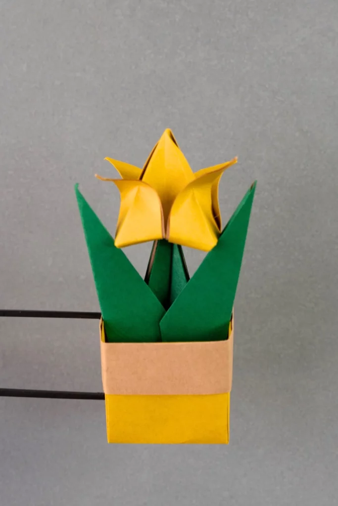 Square Origami Pot Tulip