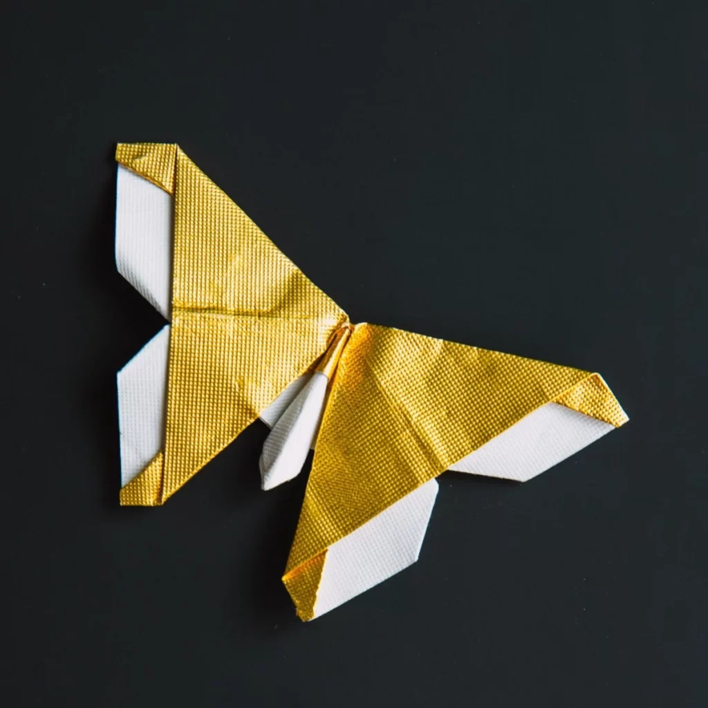 Origami Butterfly by Foil Paper