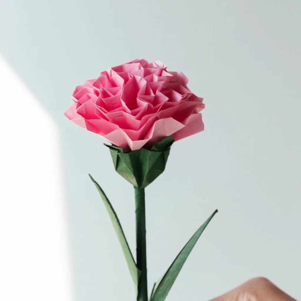 Origami Carnation Flower by Momigami paper