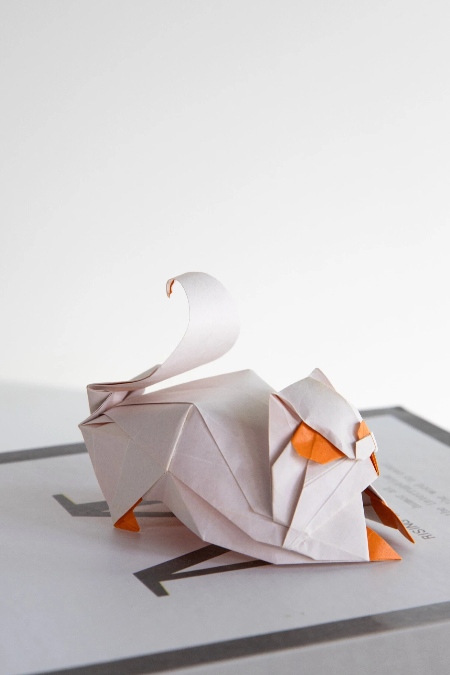 Origami Persian Cat