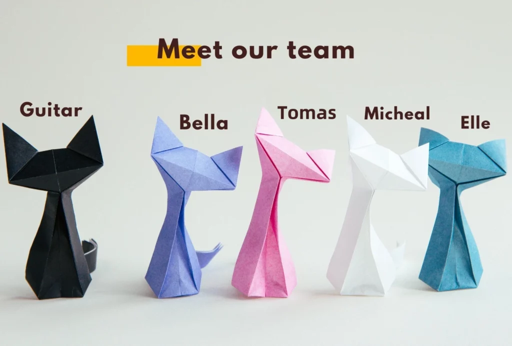 meet-our-team