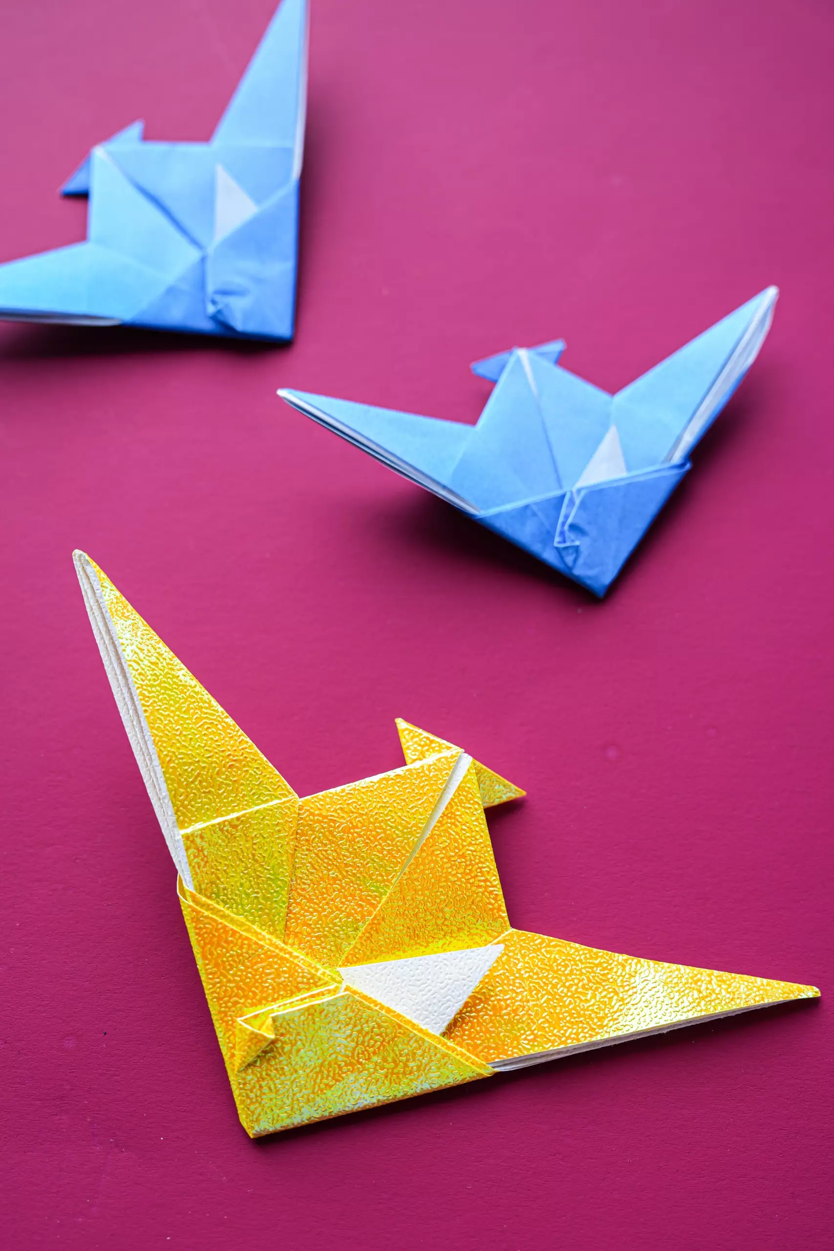 Origami Angelfish | Origamiok