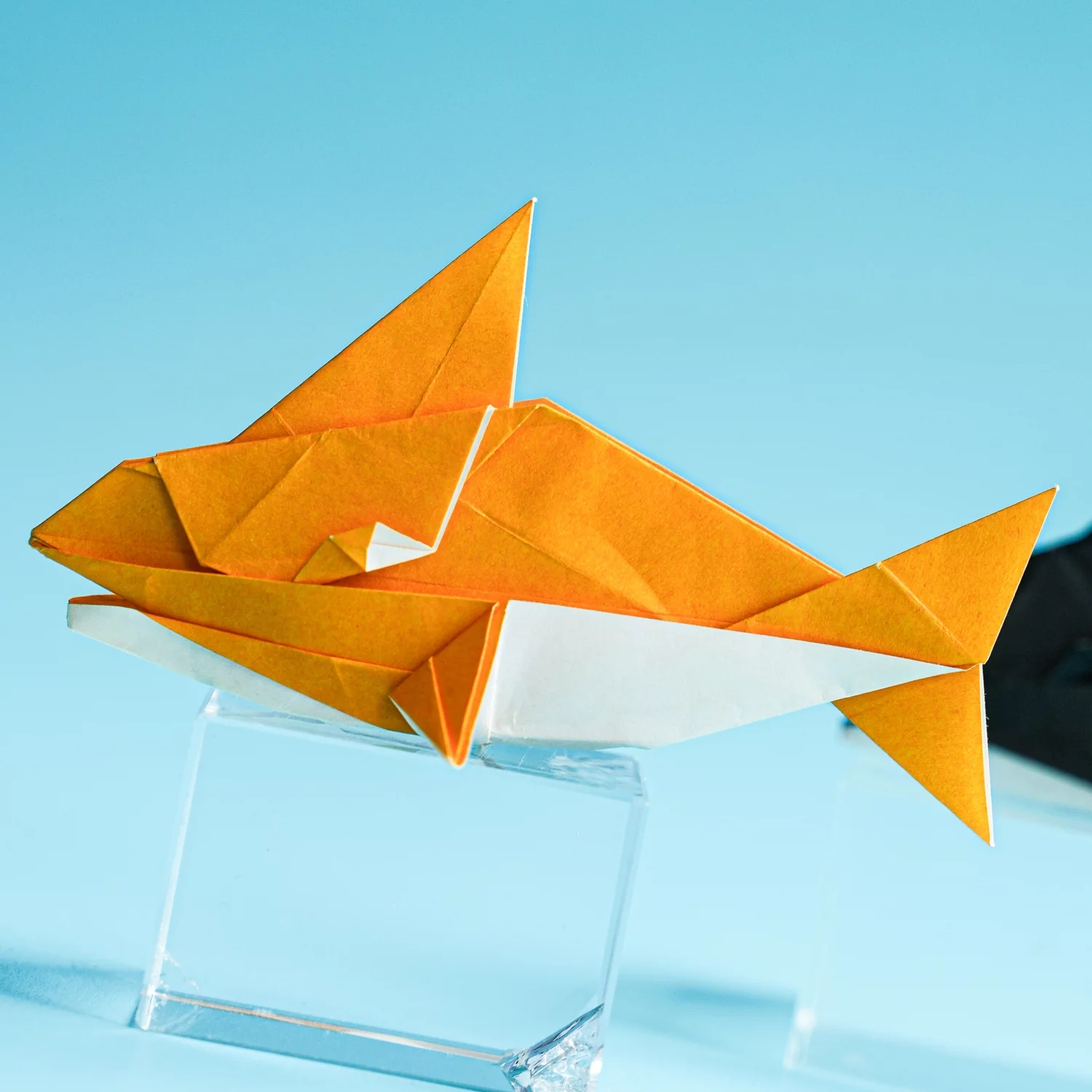 Origami Orca | Origamiok