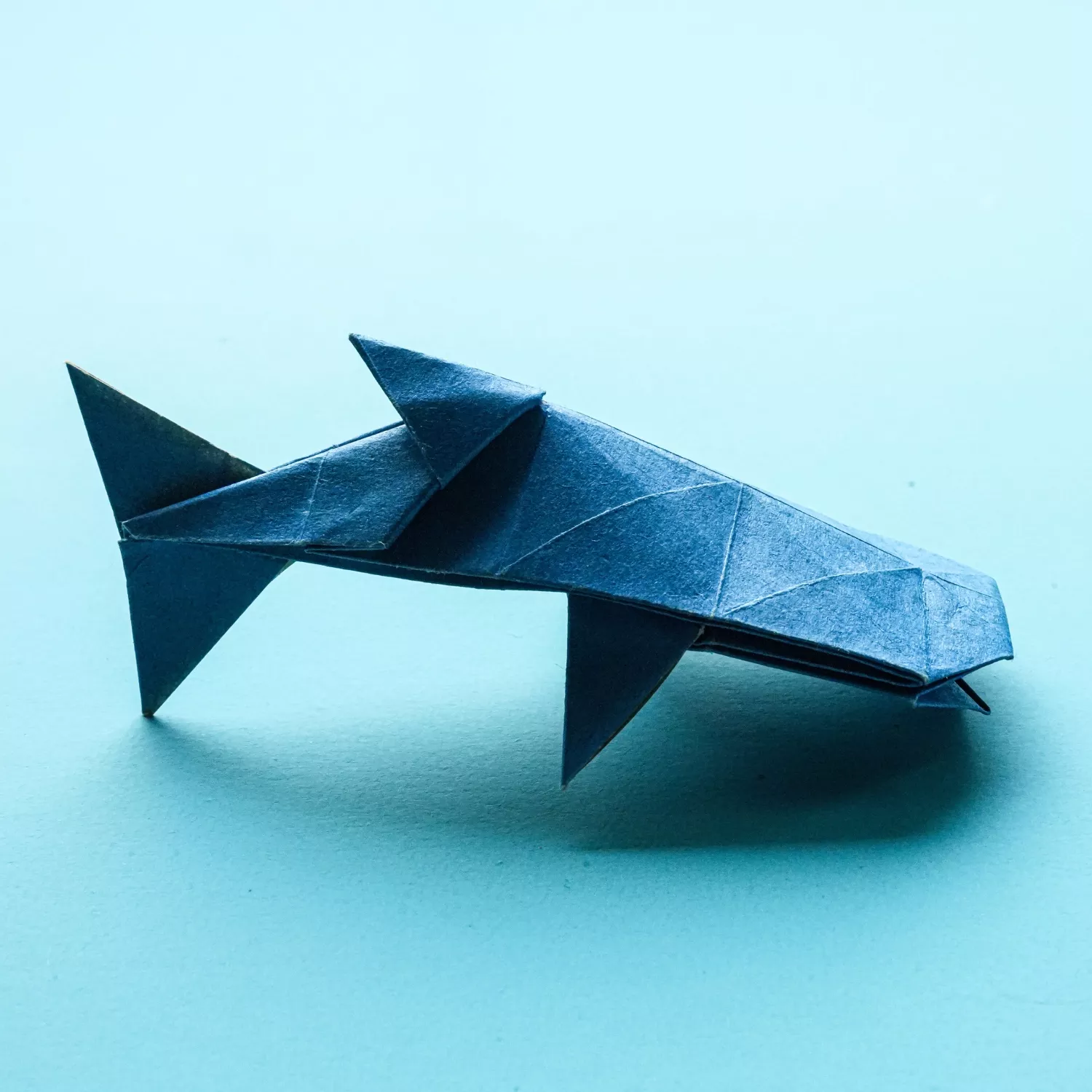 Origami Whale Shark | Origamiok