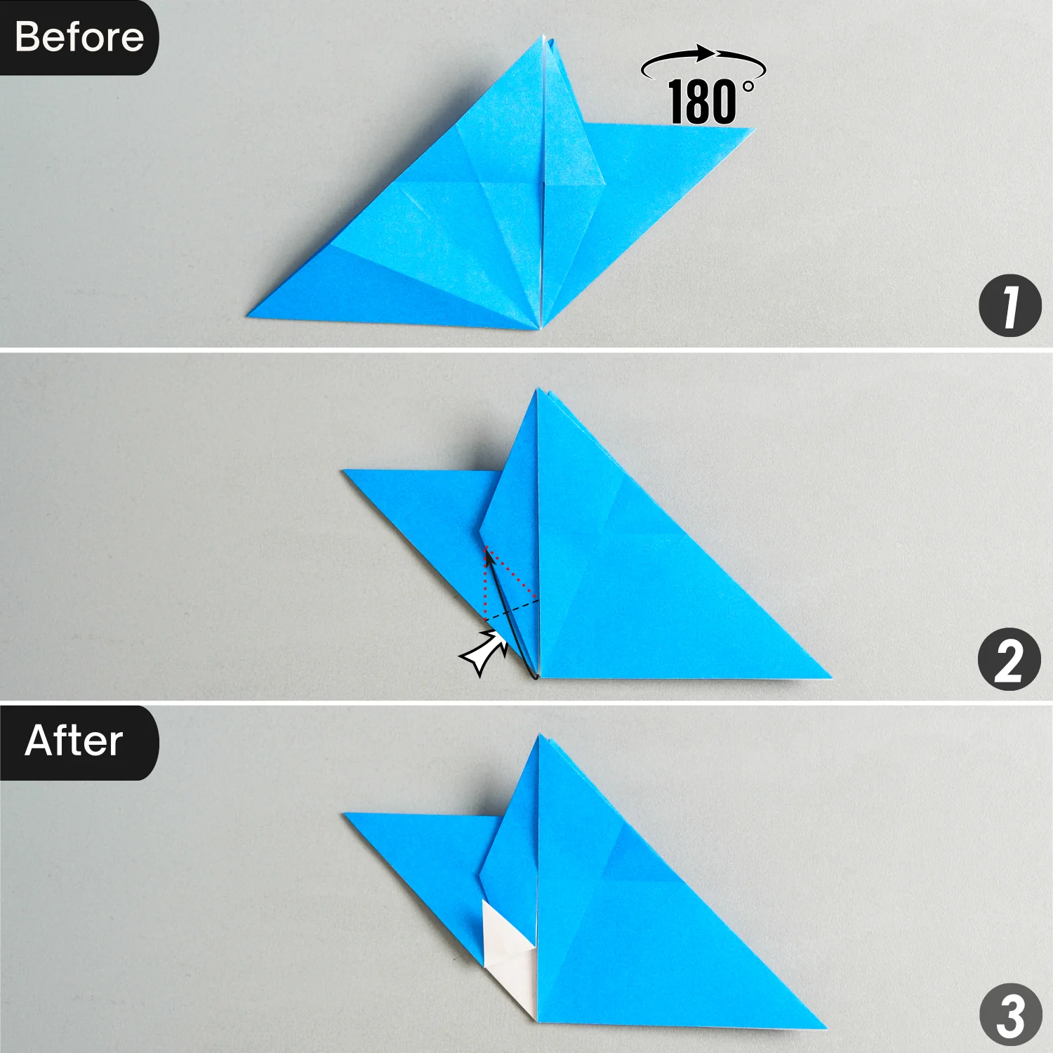 Origami Angelfish | Origamiok