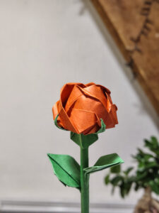 IMG_20251024_194147436