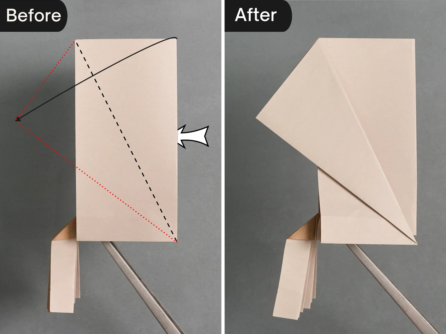 Origami Squid | Origamiok