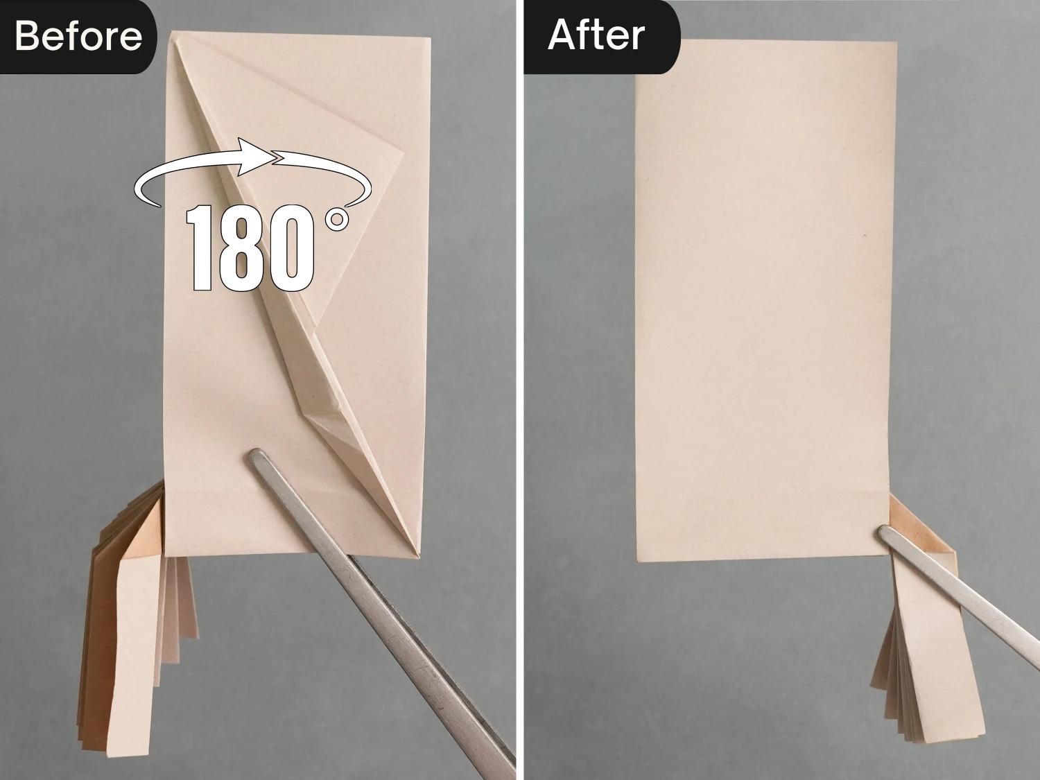 Origami Squid | Origamiok