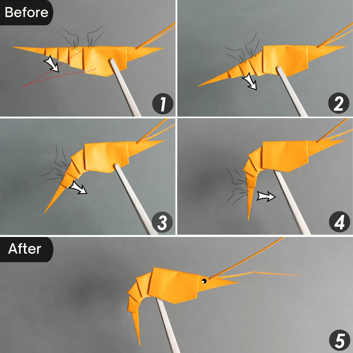 Origami Shrimp | Origamiok