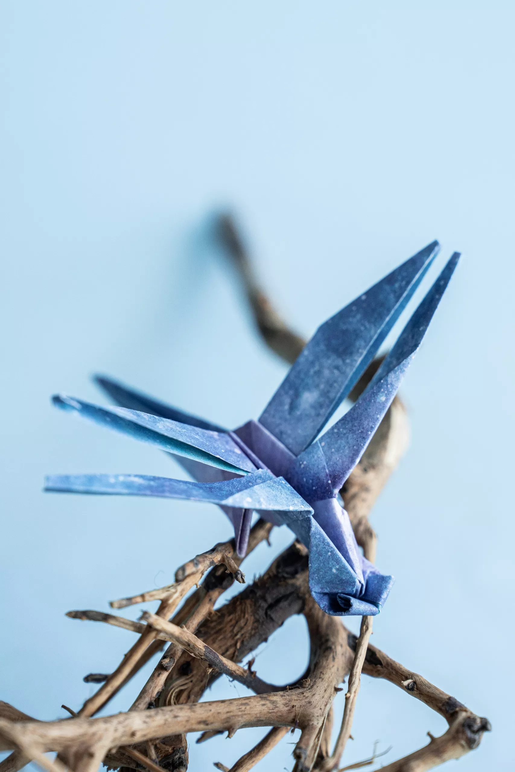 Origami Dragonfly | Origamiok