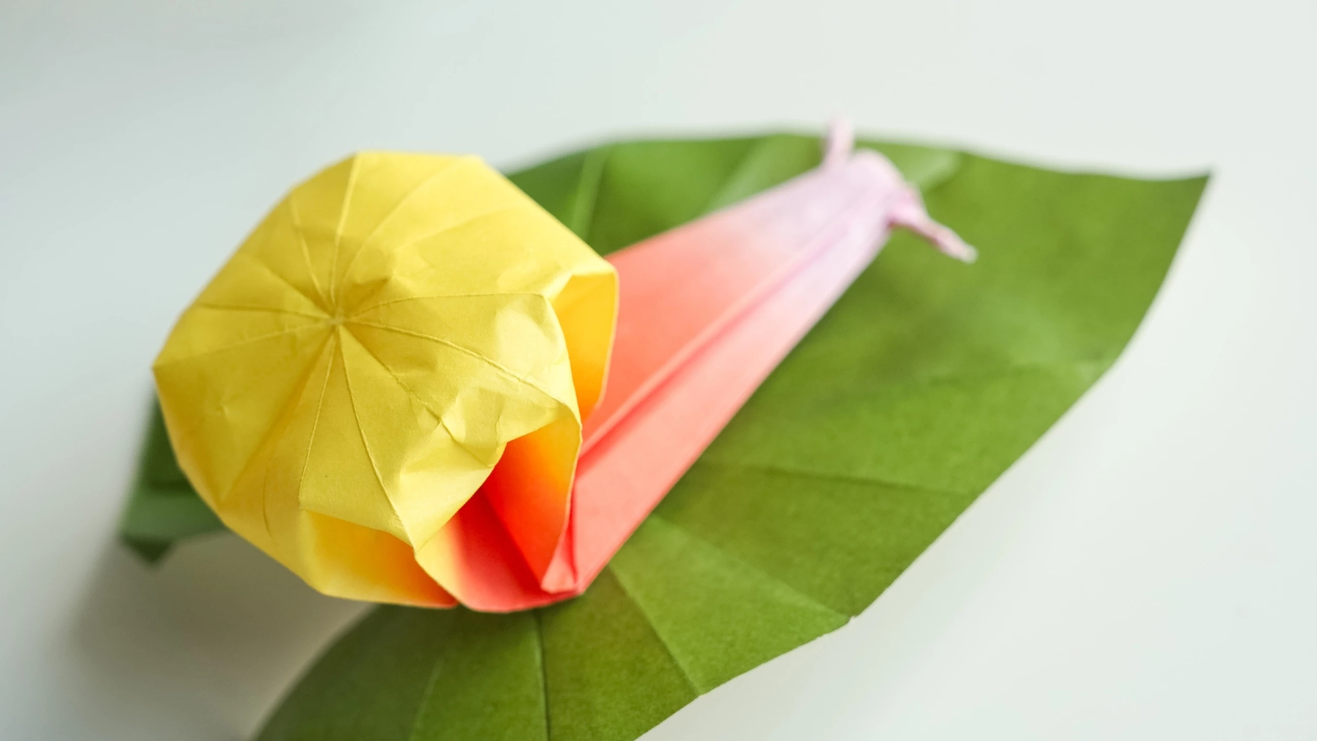 Origami Snail | Origamiok