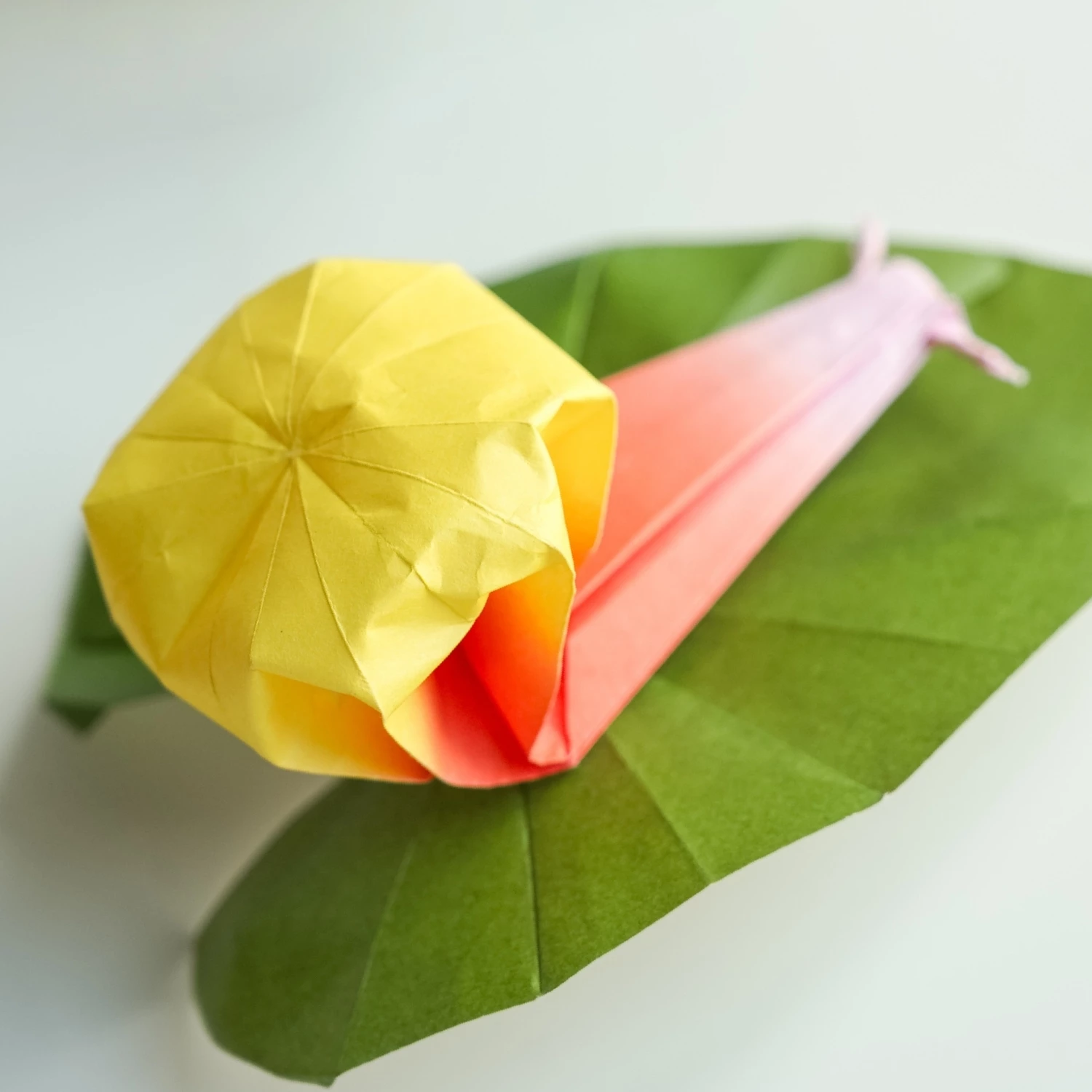 Origami Snail | Origamiok