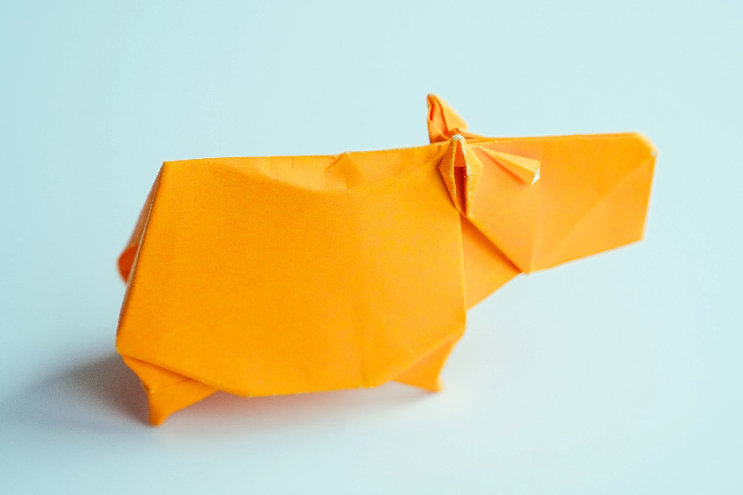 Origami Capybara | Origamiok
