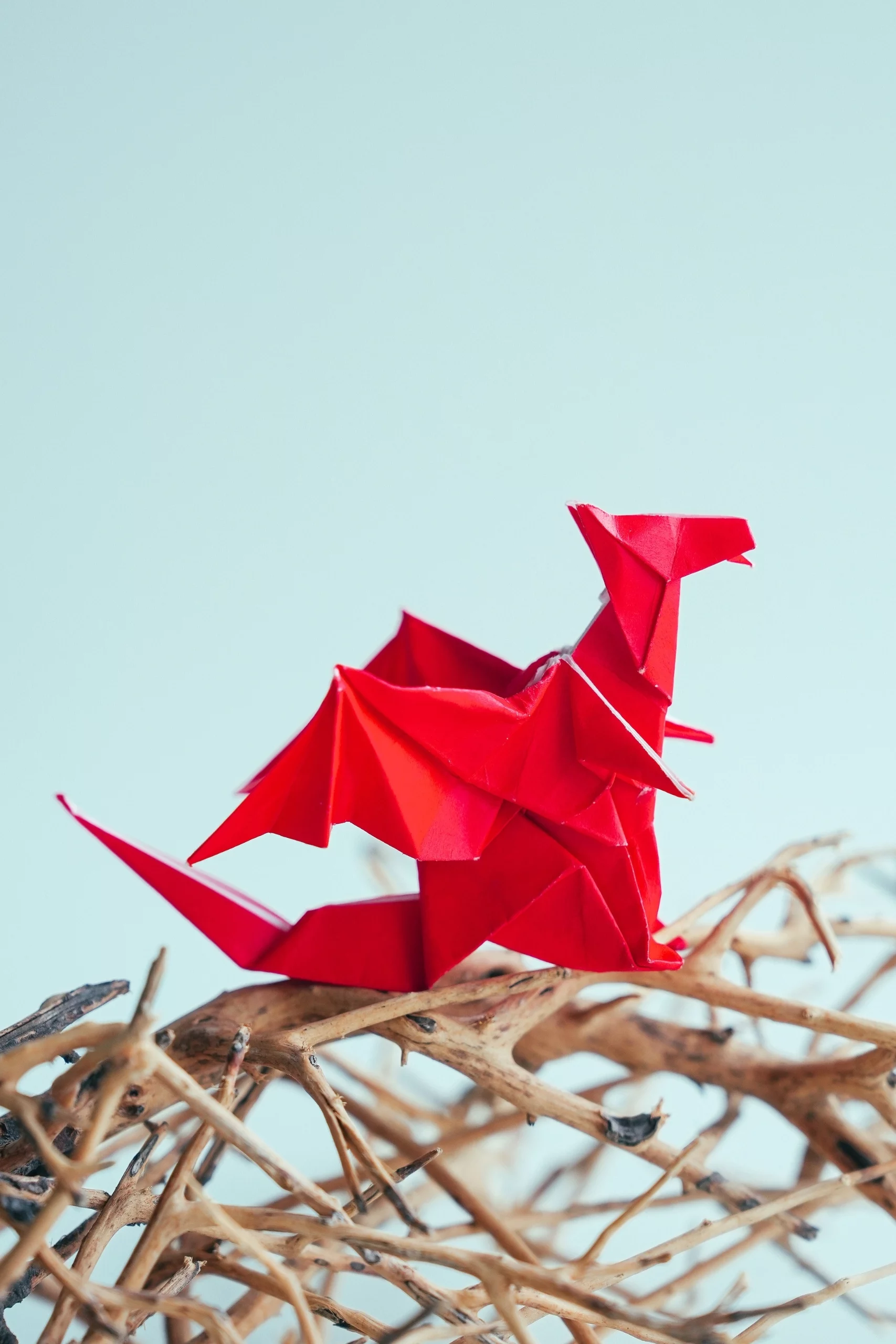 Origami Charizard | Origamiok