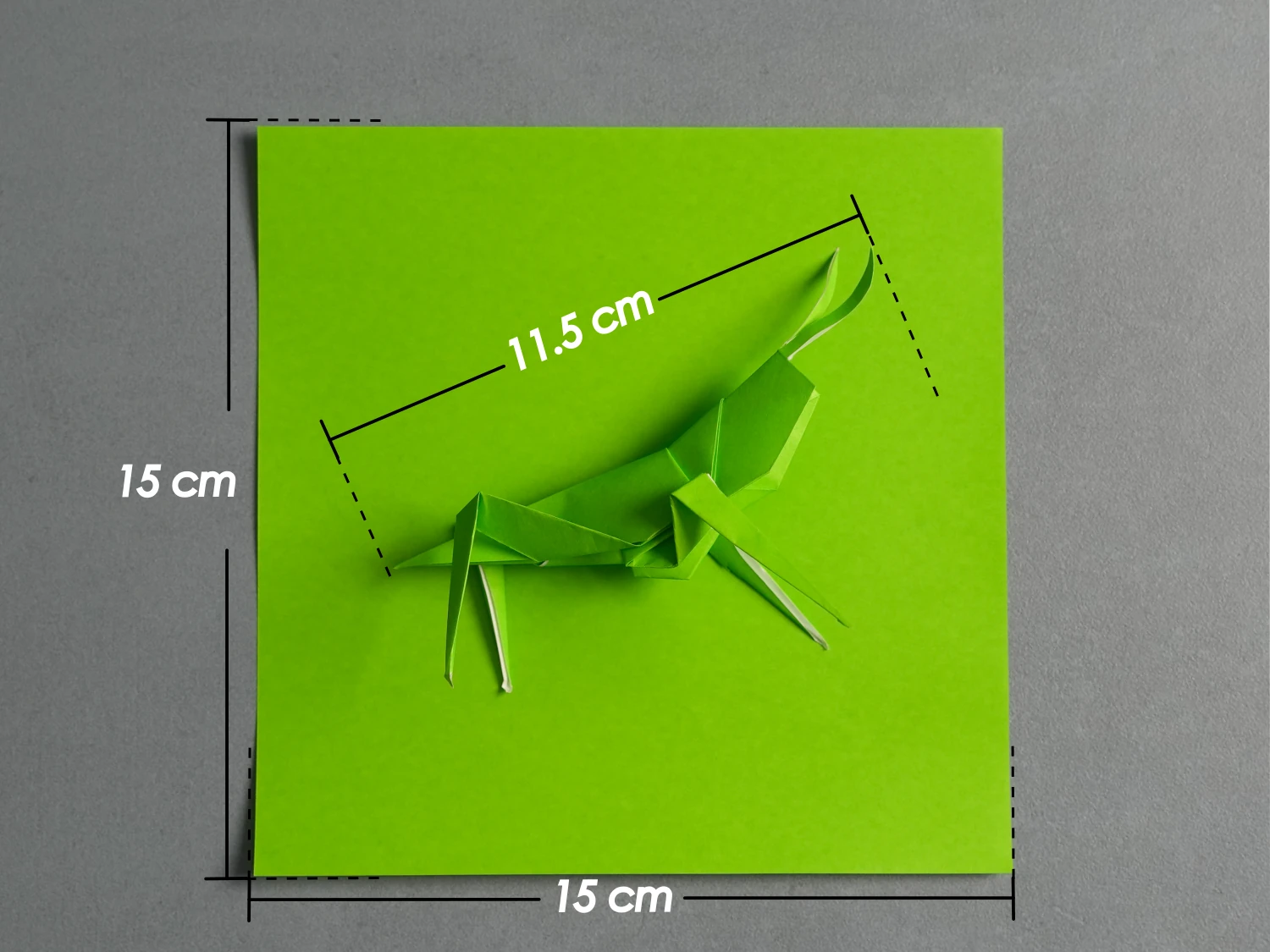 Origami Grasshopper | Origamiok
