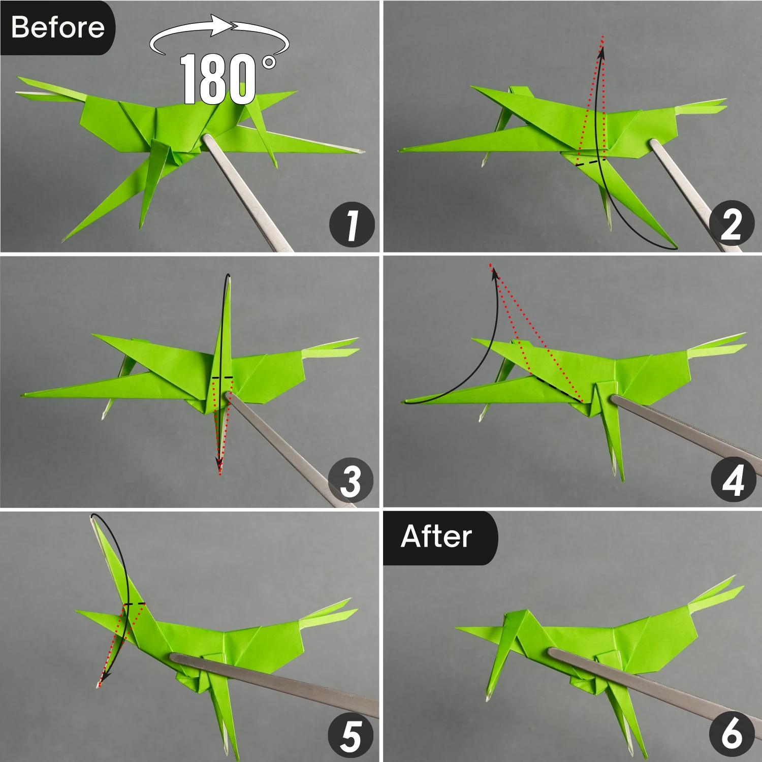Origami Grasshopper | Origamiok