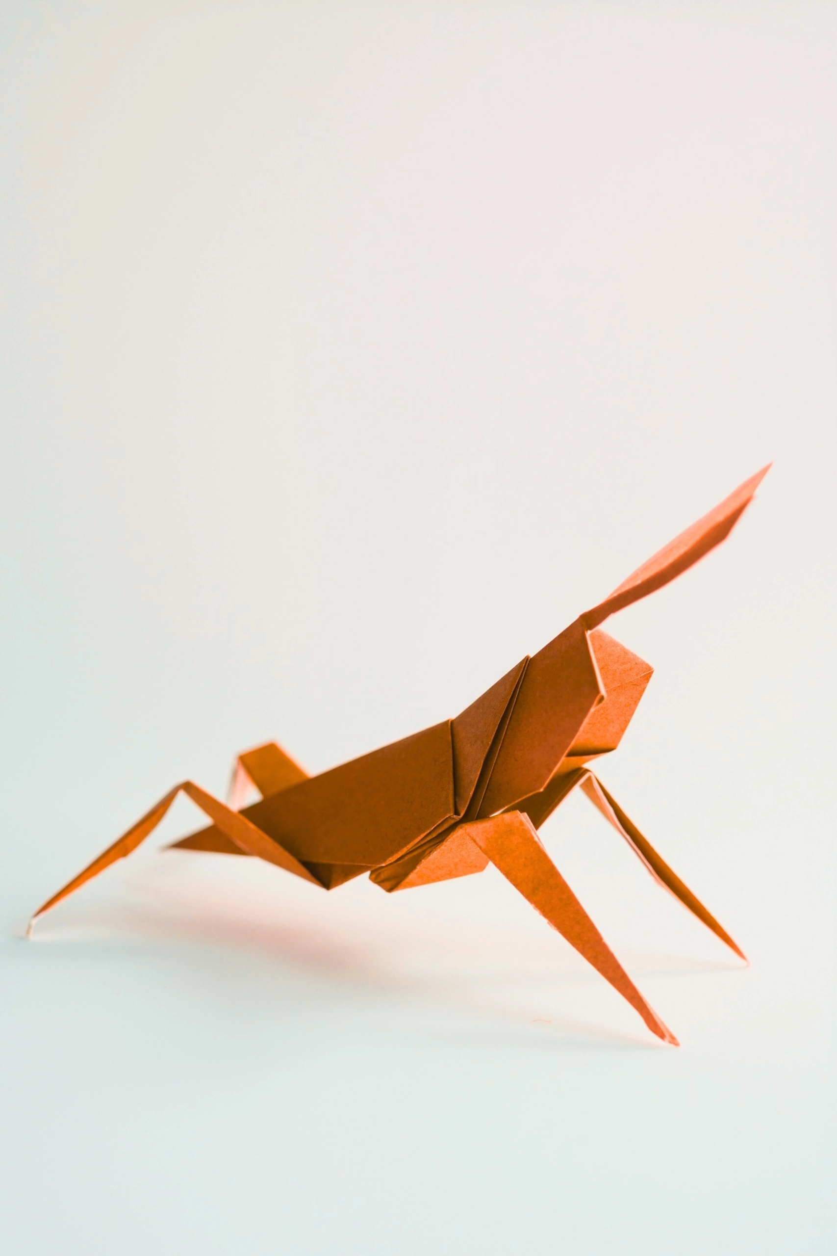 Origami Grasshopper | Origamiok