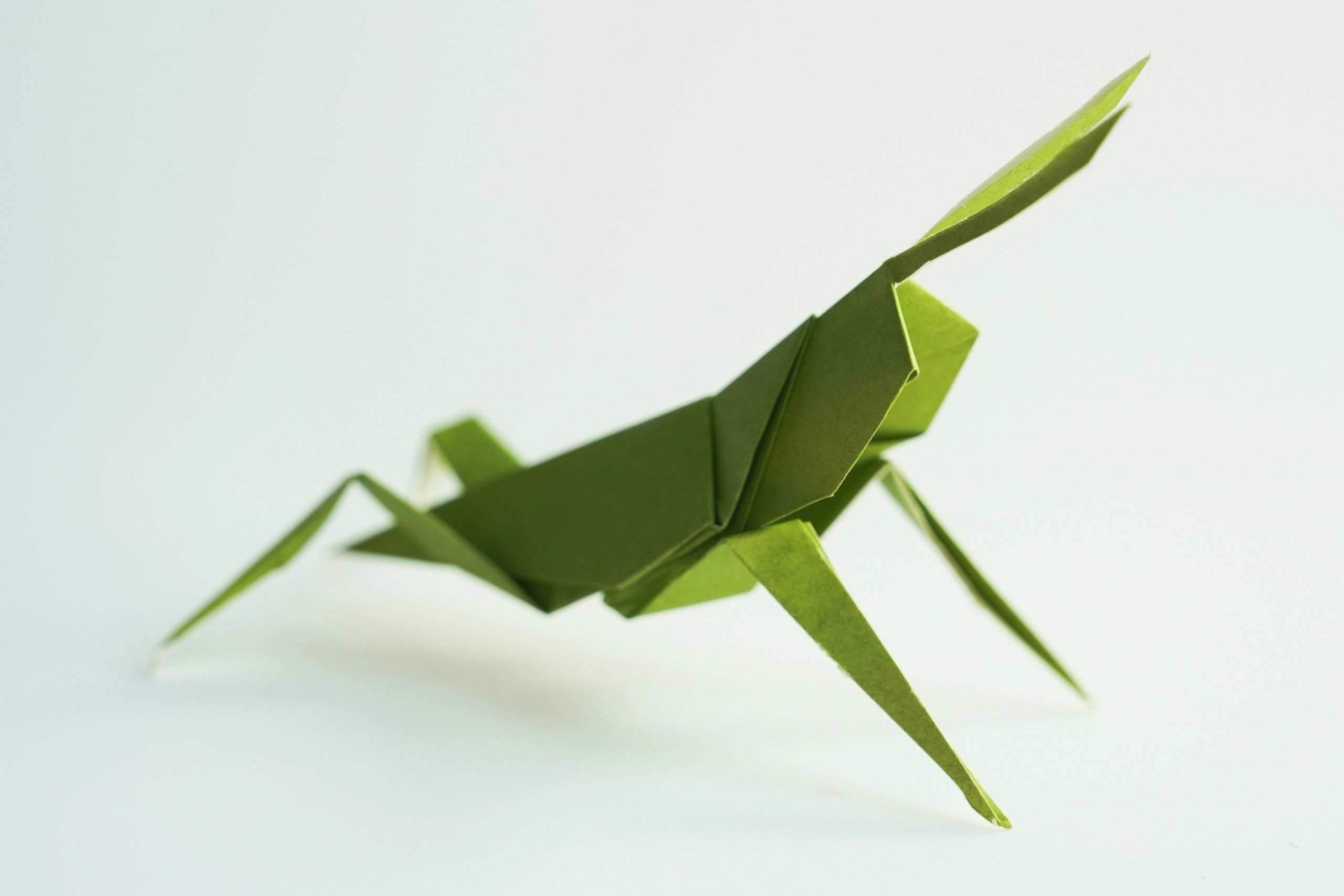 Origami Grasshopper | Origamiok